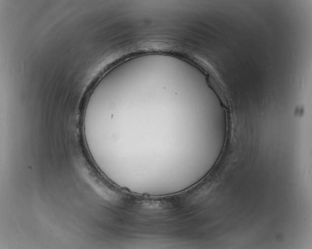 X0000112150439200908281344