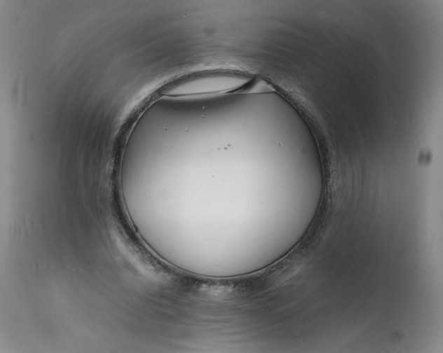 X0000112150440200908281344