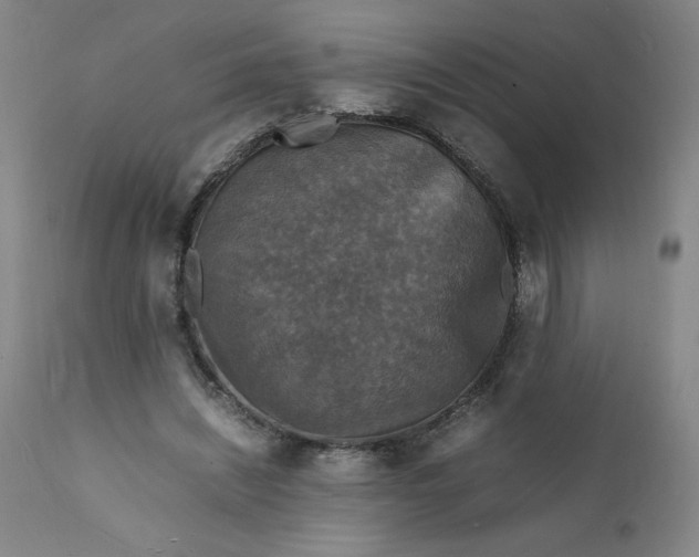 X0000112150444200908281344