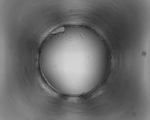X0000112150446200908281344