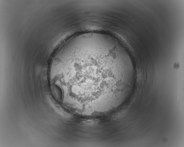 X0000112150447200908281344