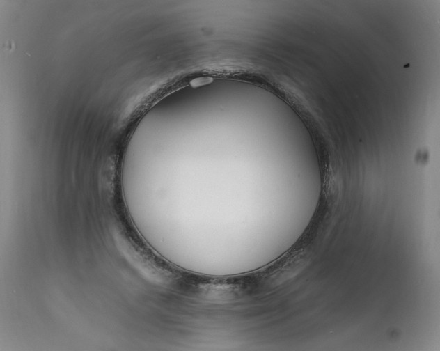 X0000112150448200908281344