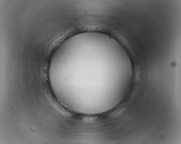 X0000112150450200908281344