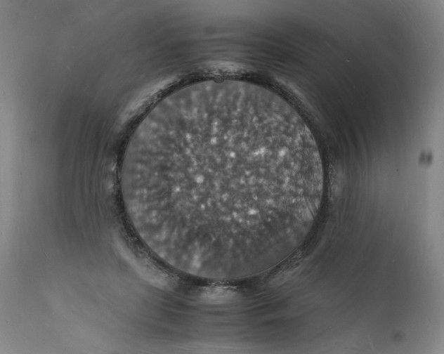 X0000112150451200908281344