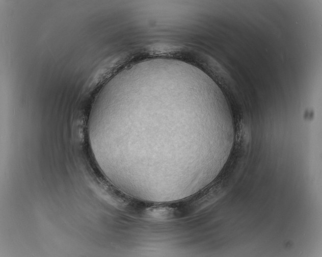 X0000112150452200908281344