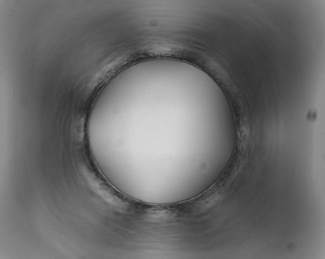 X0000112150454200908281344