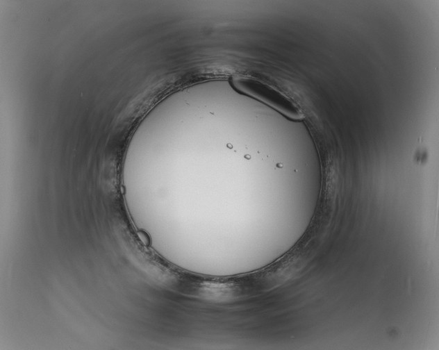 X0000112150457200908281344