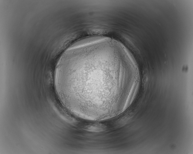 X0000112150459200908281344
