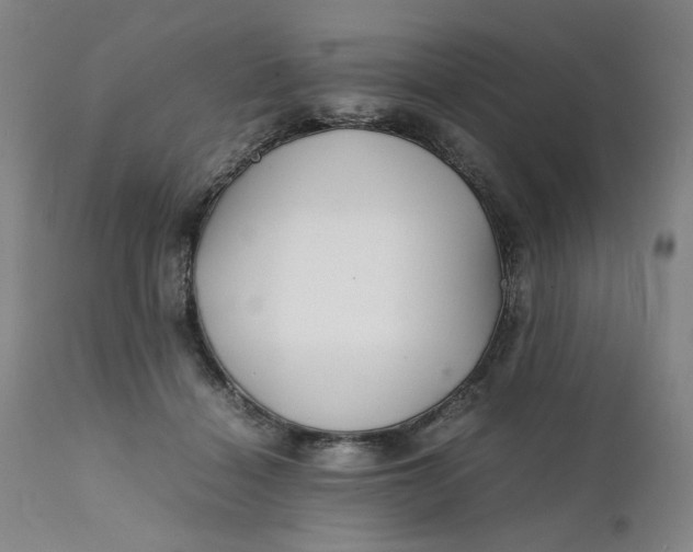 X0000112150460200908281344