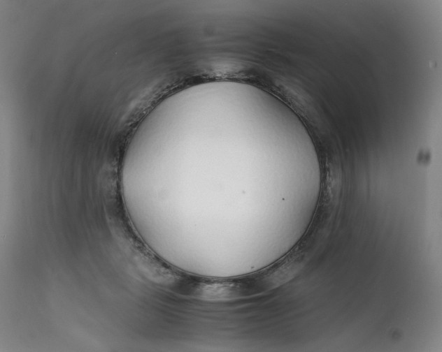 X0000112150461200908281344