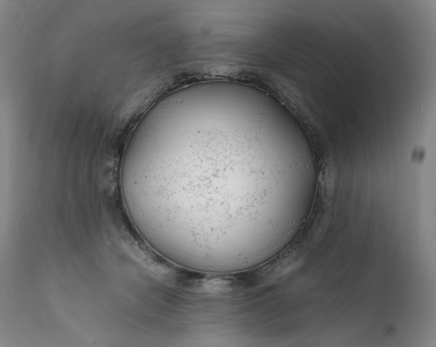 X0000112150462200908281344