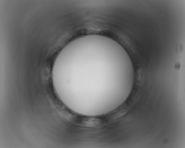X0000112150463200908281344