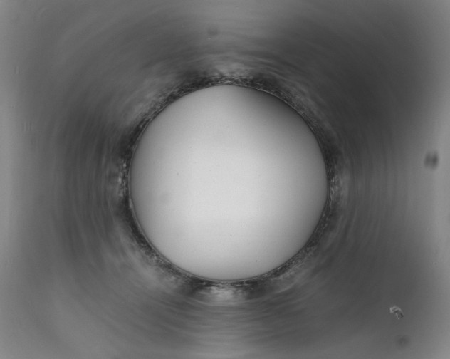X0000112150464200908281344