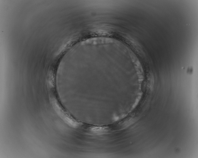 X0000112150465200908281344