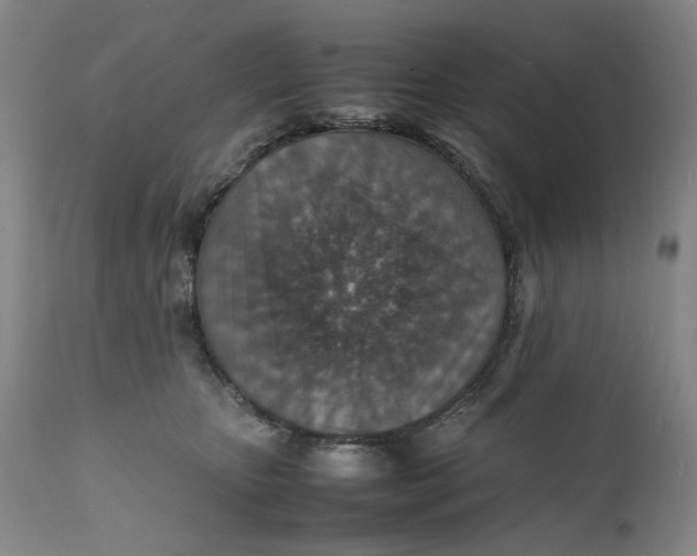 X0000112150467200908281344