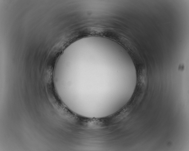 X0000112150468200908281344