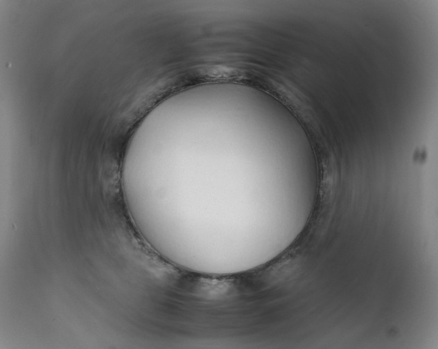 X0000112150469200908281344