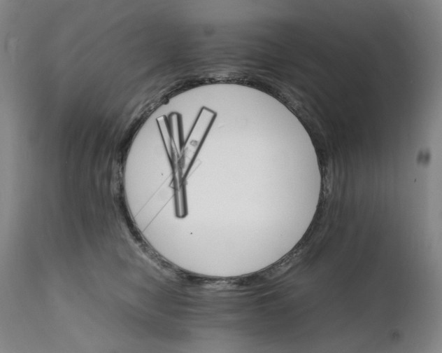 X0000112150470200908281344