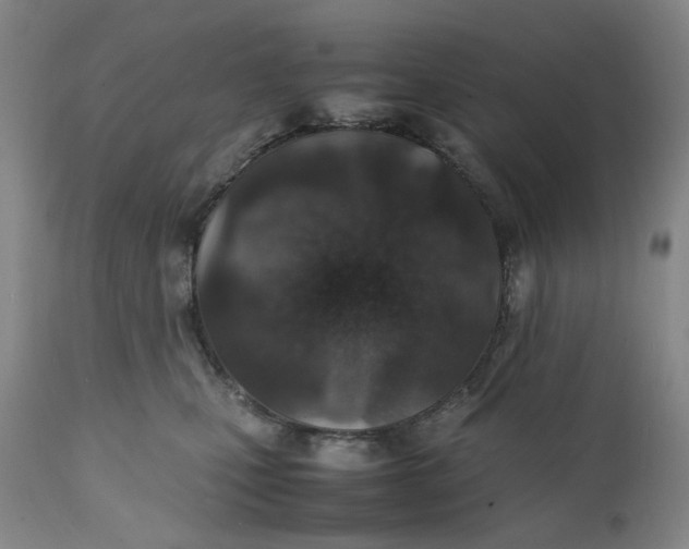 X0000112150471200908281344