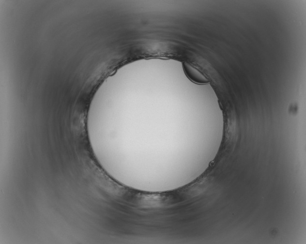 X0000112150473200908281344