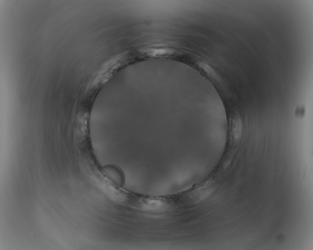 X0000112150475200908281344