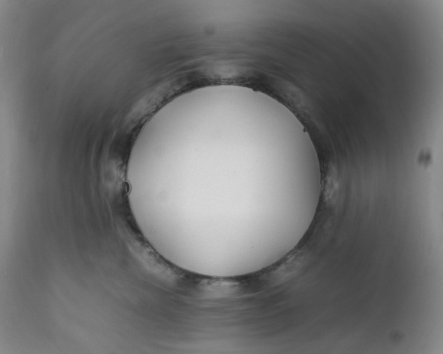 X0000112150476200908281344