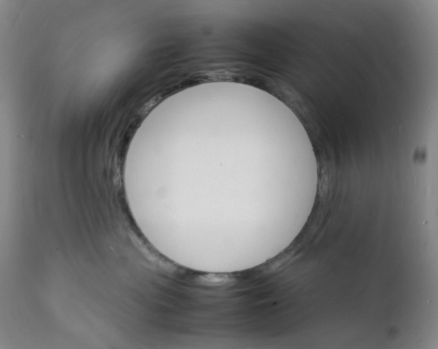 X0000112150477200908281344