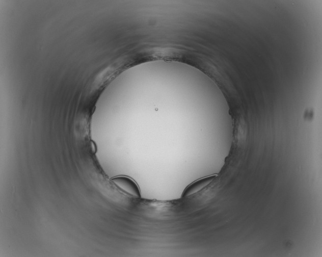 X0000112150478200908281344