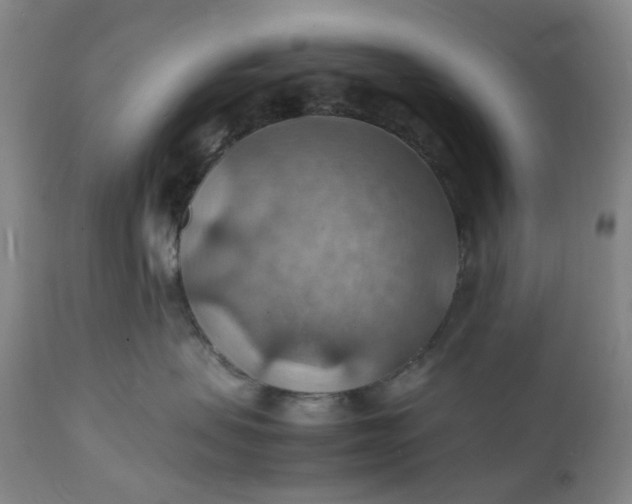 X0000112150479200908281344