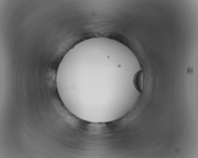 X0000112150480200908281344