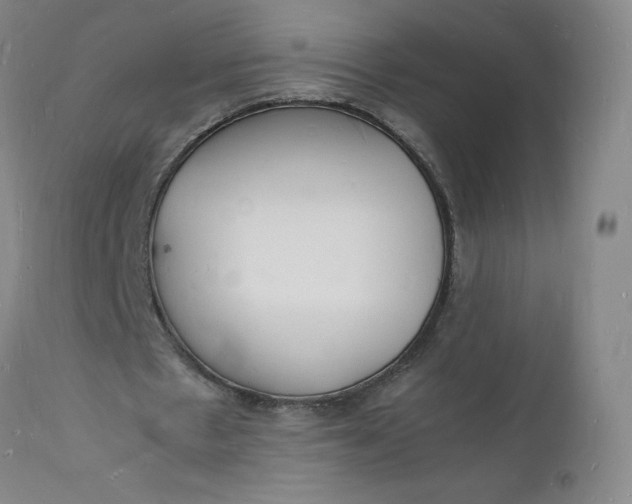X0000112150481200908281343