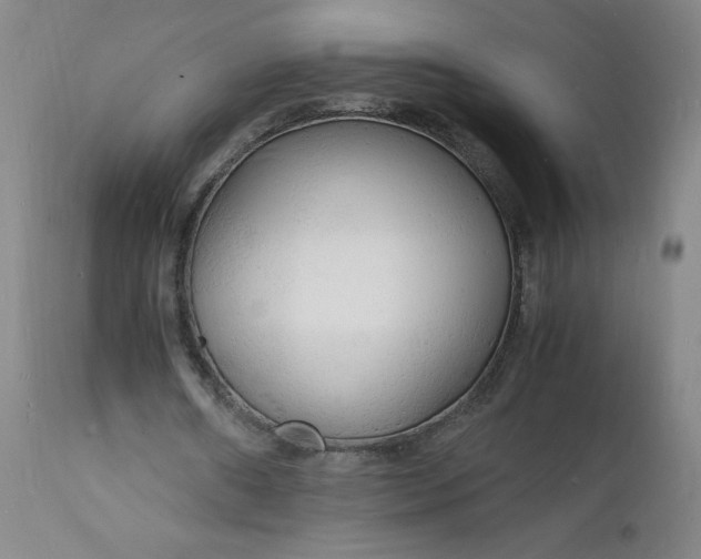 X0000112150482200908281343