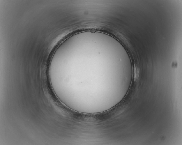 X0000112150483200908281343