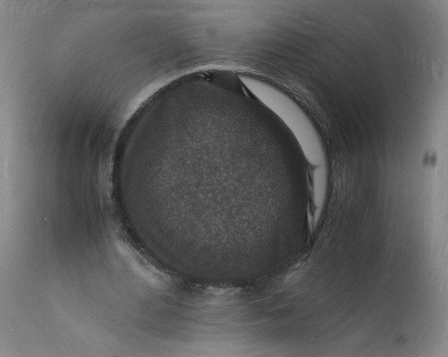 X0000112150484200908281343