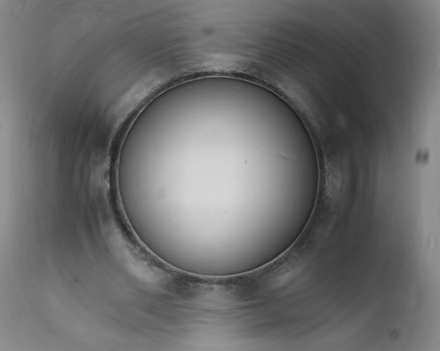 X0000112150486200908281343