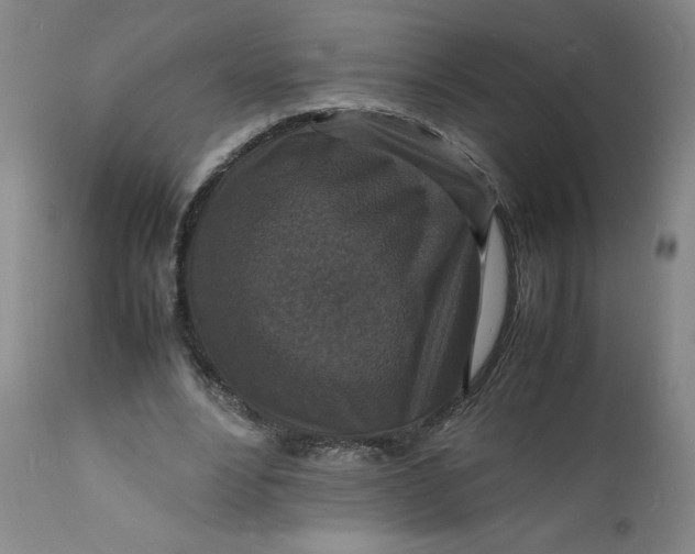 X0000112150488200908281343
