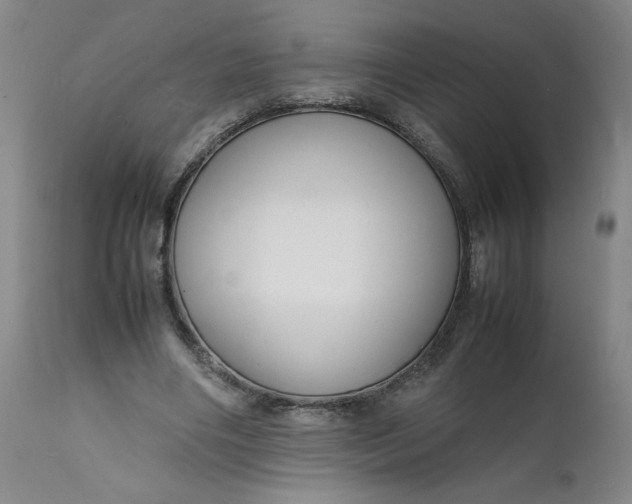 X0000112150490200908281343