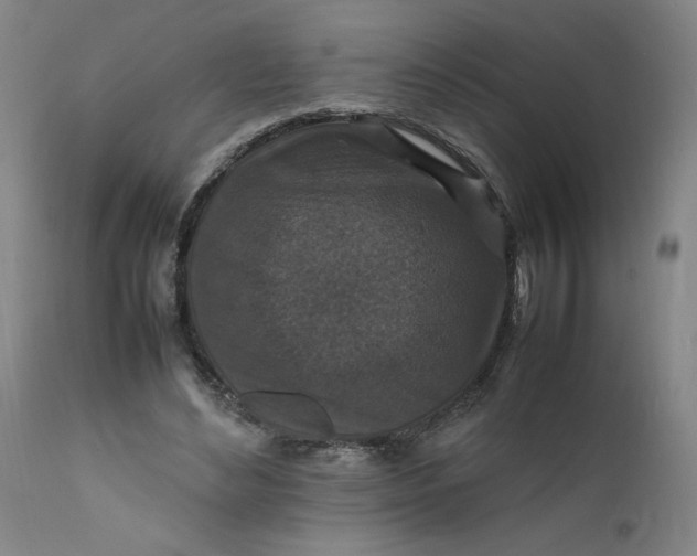 X0000112150492200908281343