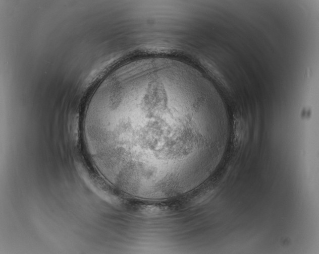X0000112150494200908281343