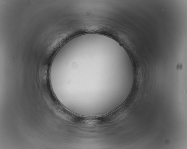 X0000112150495200908281343