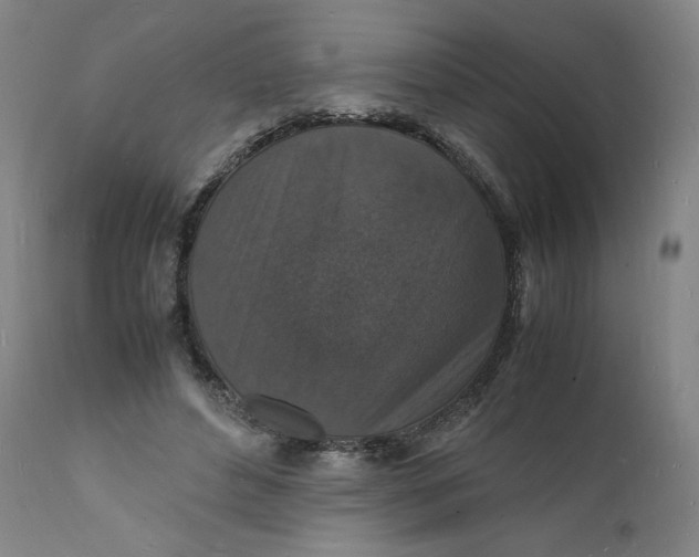 X0000112150496200908281343