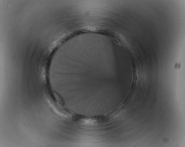 X0000112150500200908281343