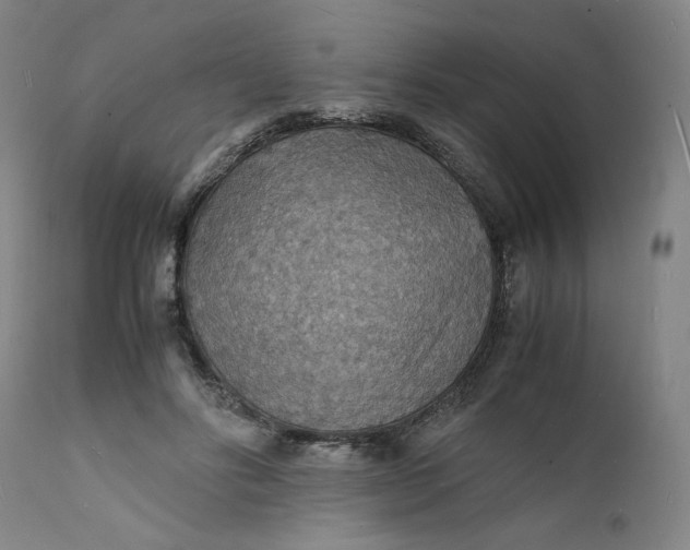 X0000112150502200908281343