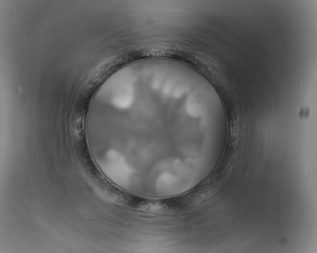 X0000112150503200908281343