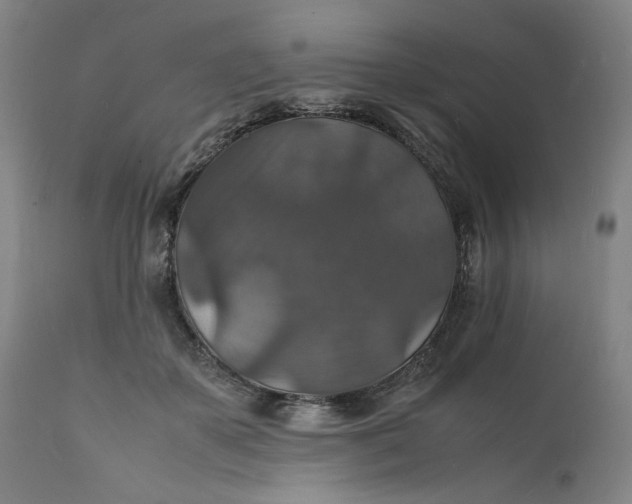X0000112150507200908281343