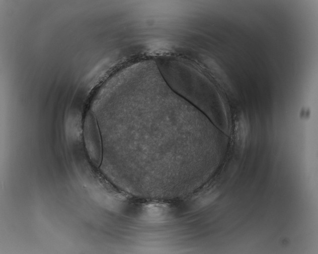 X0000112150508200908281343