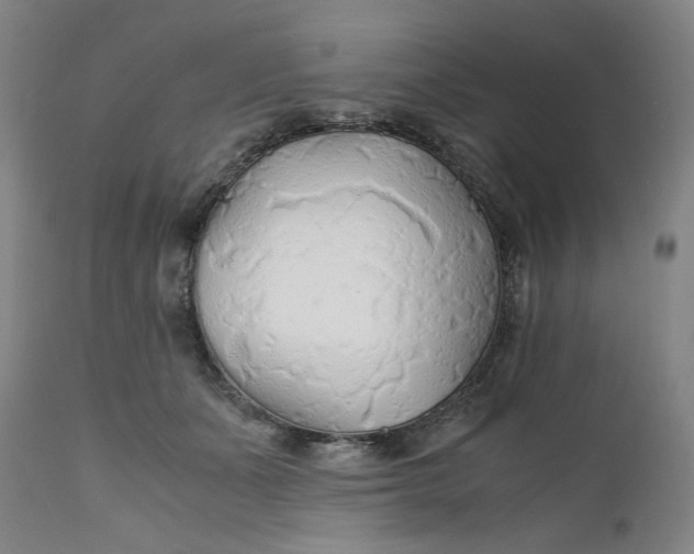 X0000112150511200908281343