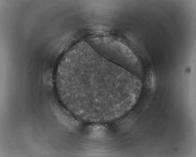 X0000112150512200908281343