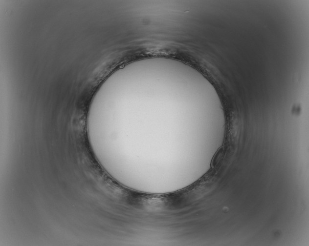 X0000112150513200908281343