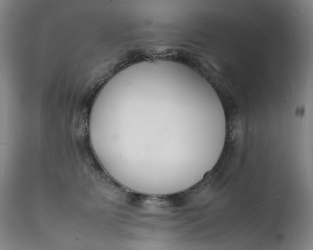 X0000112150515200908281343